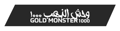 sivas-minelab-gold-monster-1000